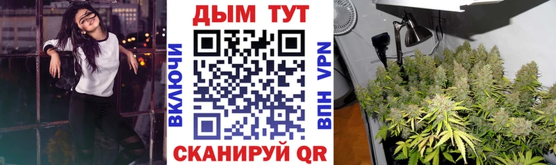  COCAIN Алдан
