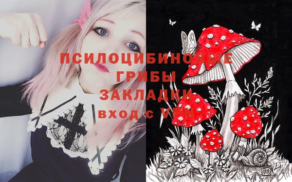 mdma Абаза