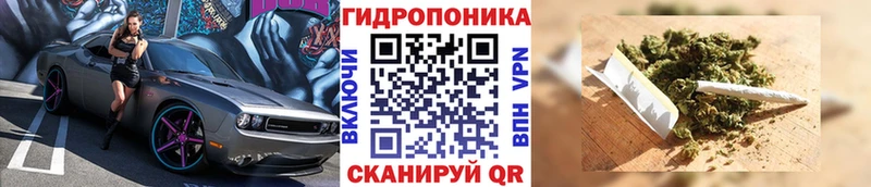 где купить наркотик  Алдан  Шишки марихуана SATIVA & INDICA 